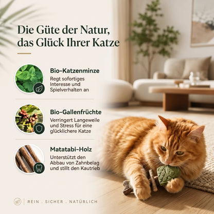 Zahnpflege-Kauspielzeug für Katzen in Fischgrätenform🍁💖